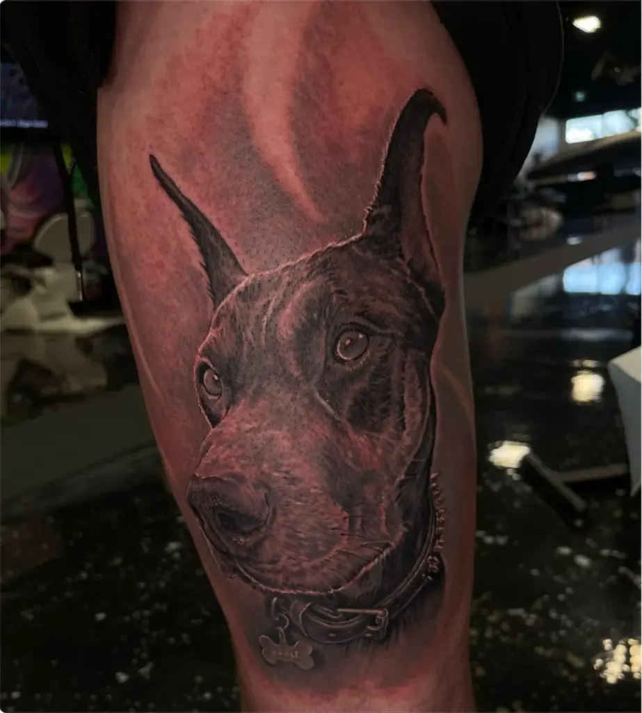 Black and grey Doberman portrait tattoo by Moose, Calgary Tattoo Company