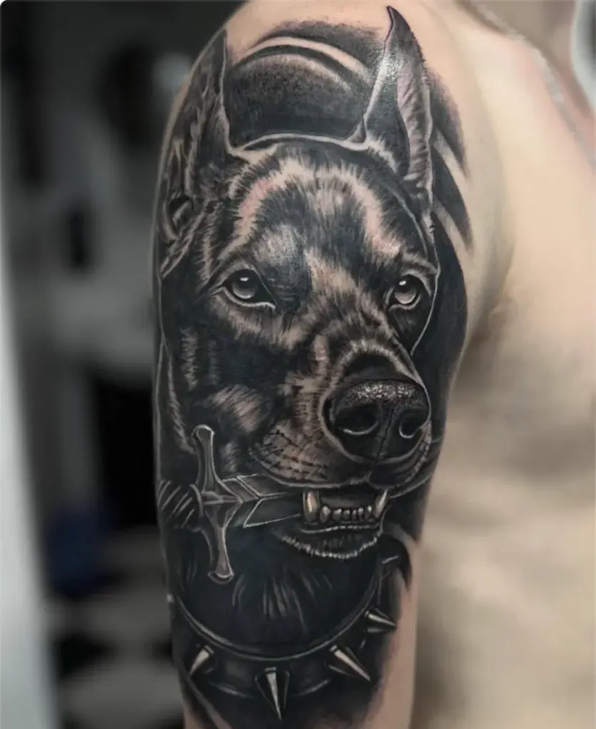 Black and grey Doberman with a dagger tattoo by Kylie, Calgary Tattoo Company