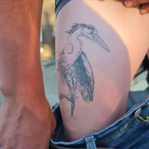 Black and grey heron tattoo by Tonka, Calgary Tattoo Company