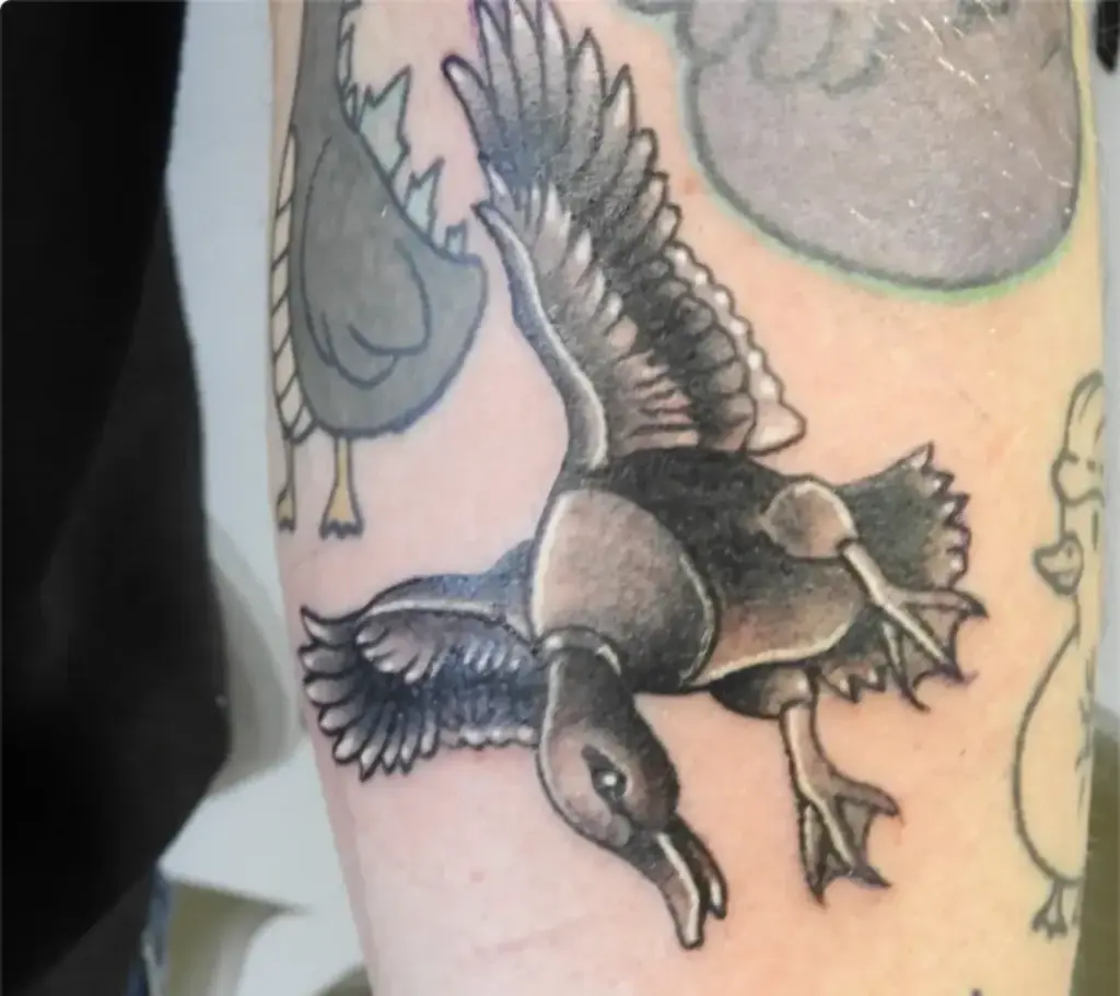 Black and grey traditional diving duck tattoo by Keith, Calgary Tattoo Company