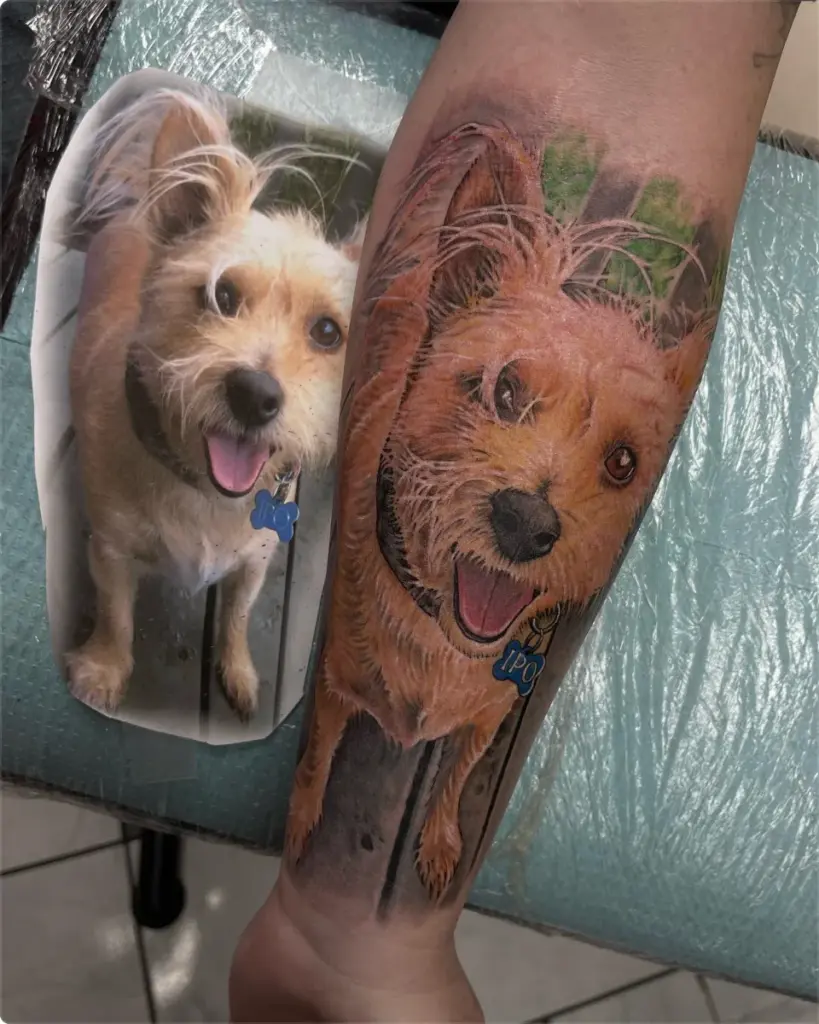 Colour memorial terrier portrait tattoo by Moose, Calgary Tattoo Company