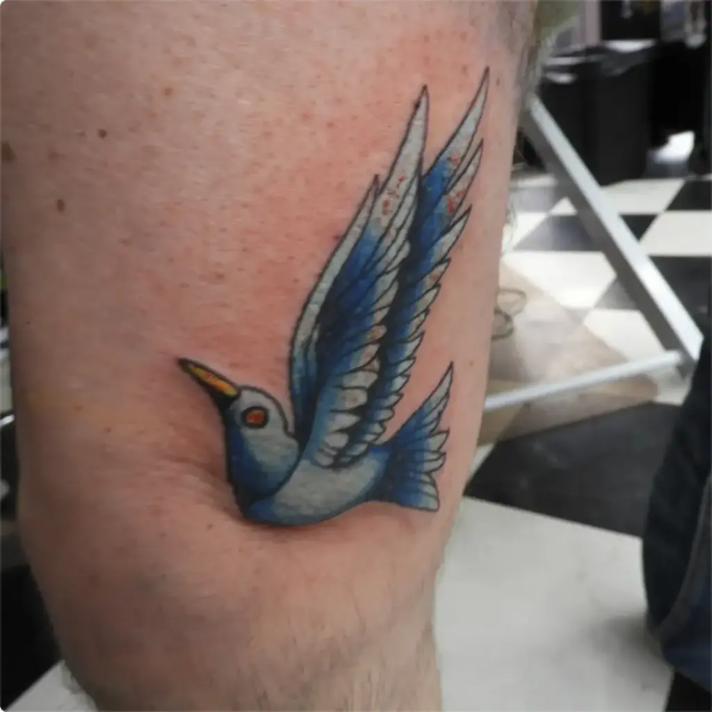 Colour traditional swallow tattoo by Keith, Calgary Tattoo Company